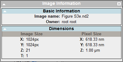 image-viewer-image-information