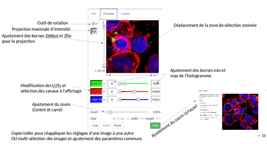 omero_figure_preview_thumbnail